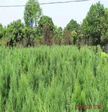 長沙網度信息科技