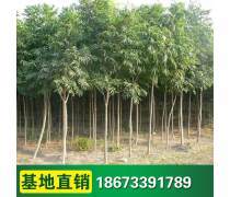 【豪杰紅木紅木荷花鎮(zhèn)紙筆筒筆洗三件套紅木商務禮品紅木筆筒筆洗鎮(zhèn)紙】海門市豪祥紅木工藝品廠 - 產品庫