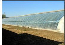 生態(tài) 農(nóng)業(yè) 工程建設的公司請選擇青州市憶美園林溫室,生態(tài) 農(nóng)業(yè) 工程建設的公司請選擇青州市憶美園林溫室生產(chǎn)廠家,生態(tài) 農(nóng)業(yè) 工程建設的公司請選擇青州市憶美園林溫室價格